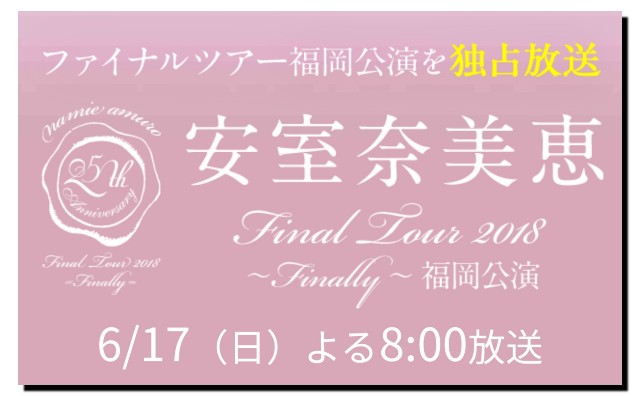 無料で観られる 安室奈美恵ファイナルツアーをwowowで観よう ブックとノートとメモと