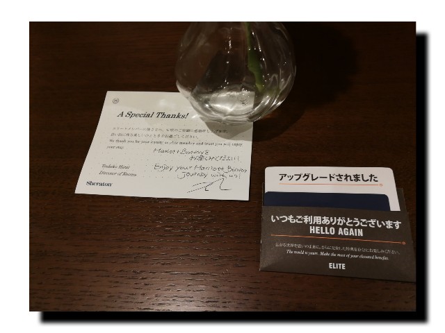 f:id:mr_koji_kun:20190221204547j:plain