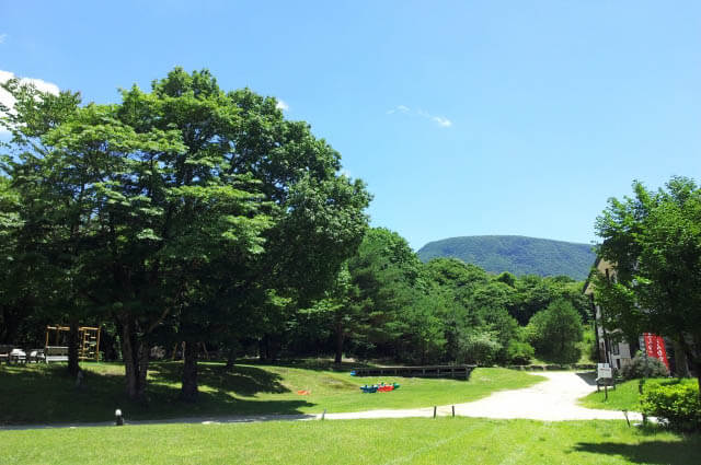 夏の金剛宝寺の写真