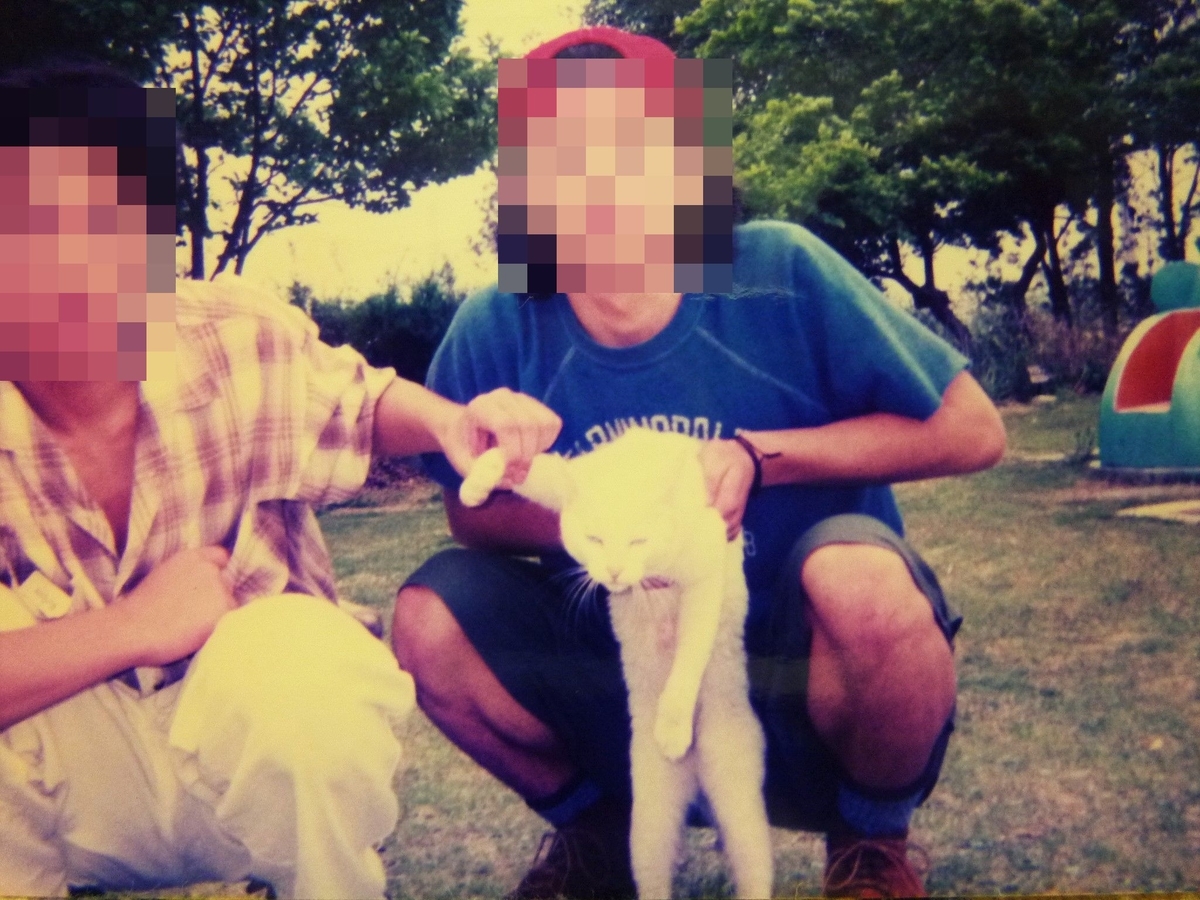 f:id:mr_redwing_children:20200801234738j:plain f:id:mr_redwing_children:20200801234738j:plain