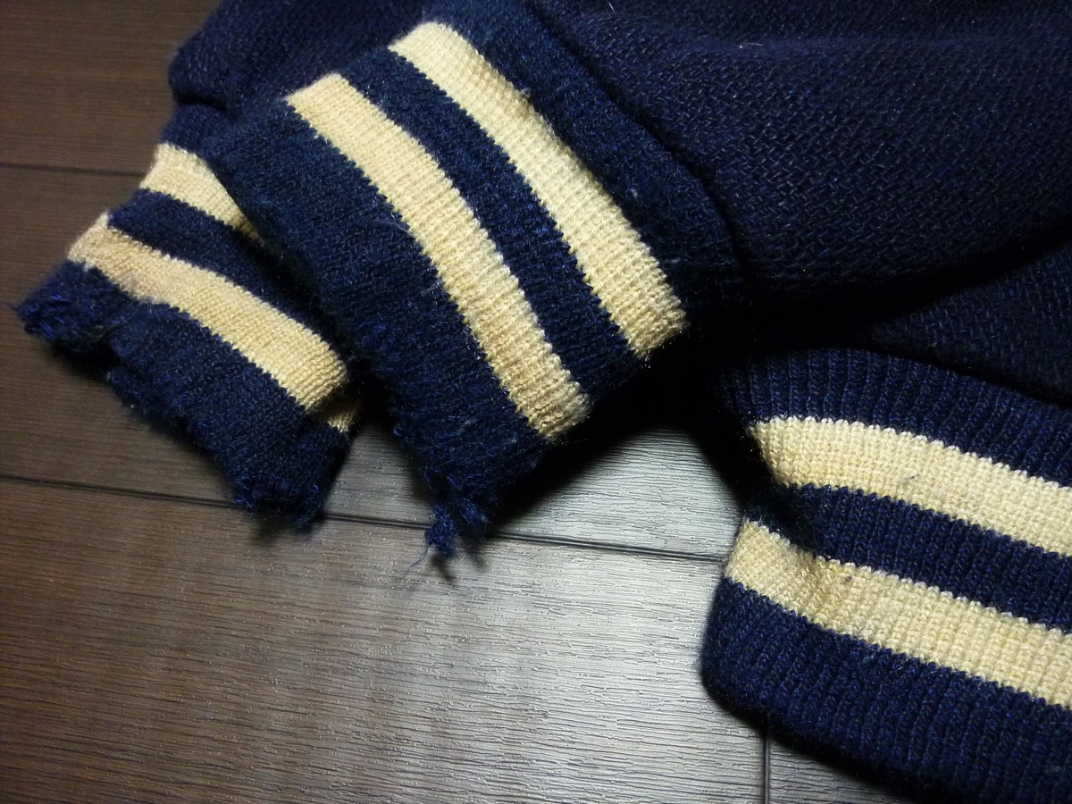 f:id:mr_redwing_children:20201124185532j:plain