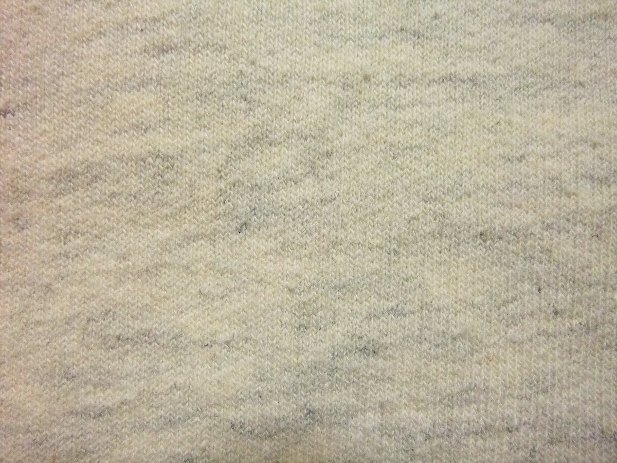 f:id:mr_redwing_children:20210208201534j:plain
