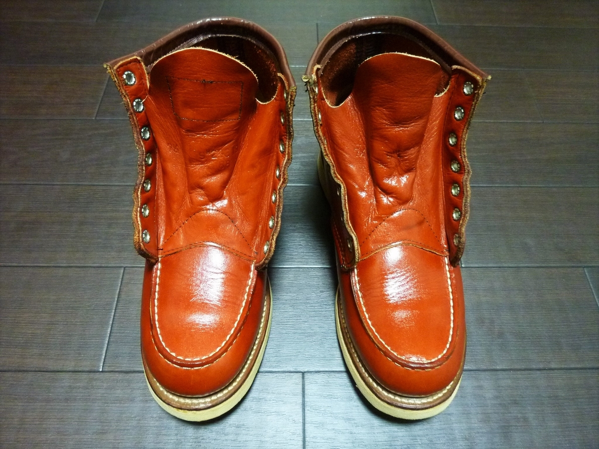 f:id:mr_redwing_children:20210630171015j:plain