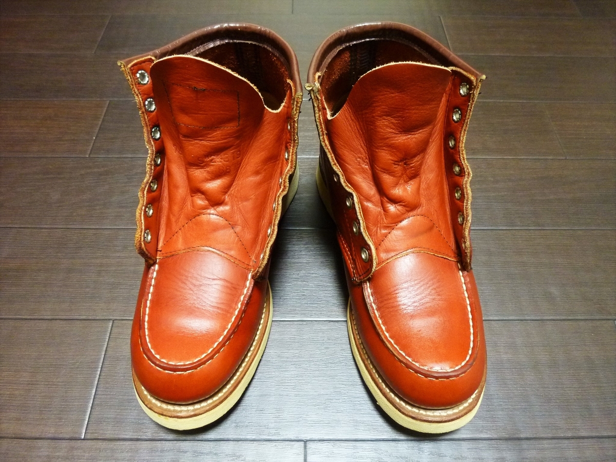 f:id:mr_redwing_children:20210630171029j:plain