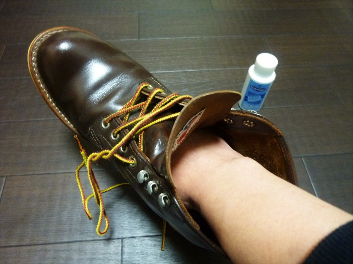 f:id:mr_redwing_children:20211126133123j:plain