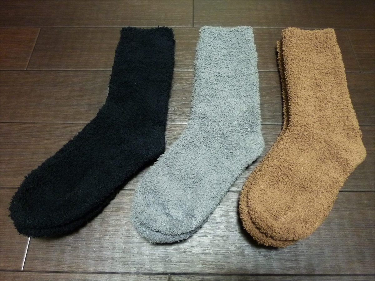 f:id:mr_redwing_children:20220128161154j:plain