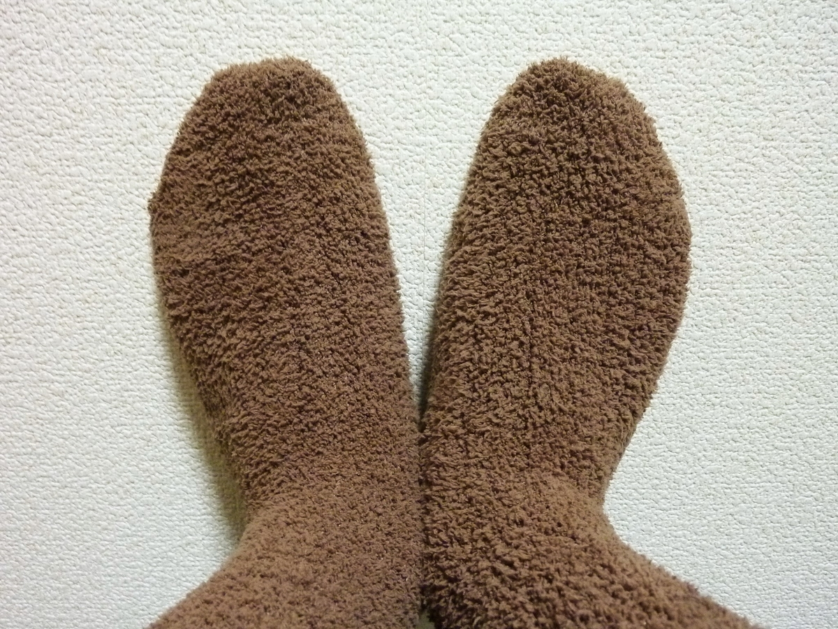 f:id:mr_redwing_children:20220128161411j:plain