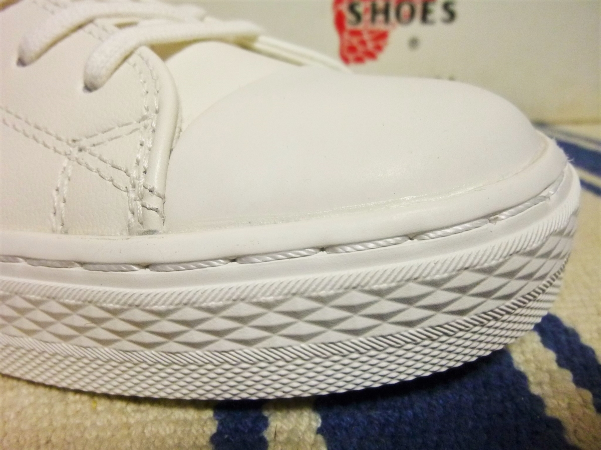 f:id:mr_redwing_children:20220218214318j:plain