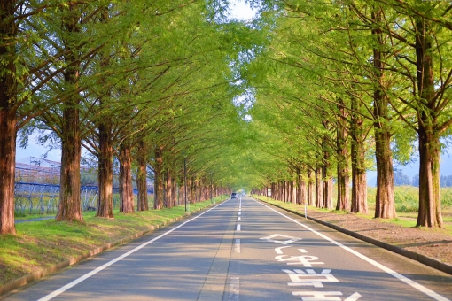 f:id:mr_ryotan3:20190919075147p:plain f:id:mr_ryotan3:20190919075147p:plain