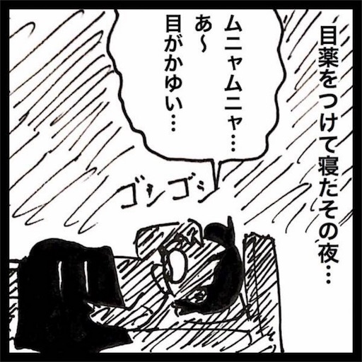 f:id:mraka2015:20170505131025j:image