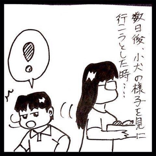f:id:mraka2015:20170705144045j:image