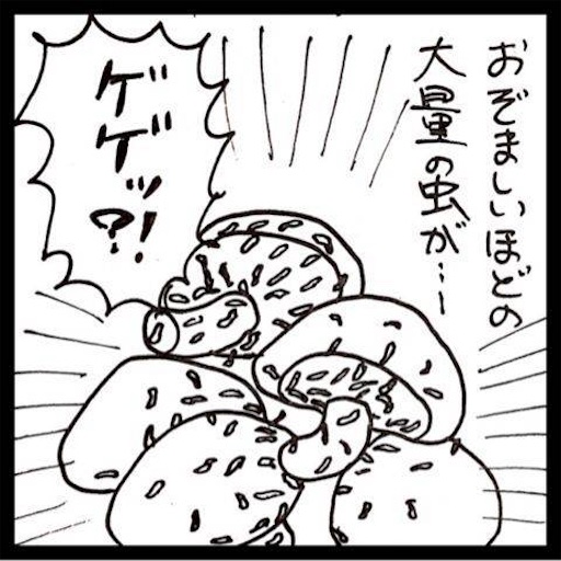 f:id:mraka2015:20170713120944j:image