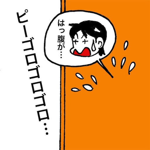 f:id:mraka2015:20171231091033j:image