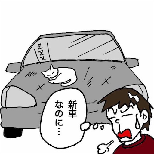 f:id:mraka2015:20180222101101j:image