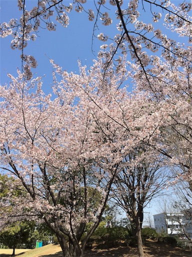 f:id:mraka2015:20180401105458j:image