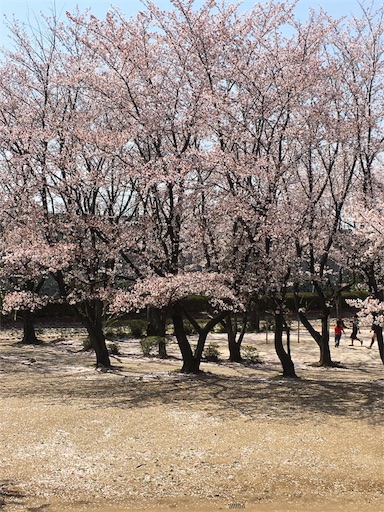 f:id:mraka2015:20180401105605j:image