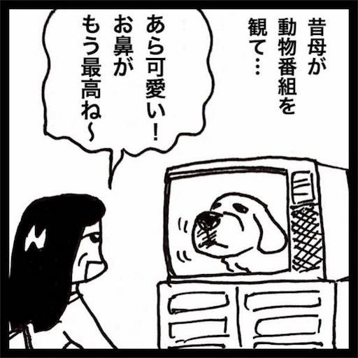 f:id:mraka2015:20180529154132j:image