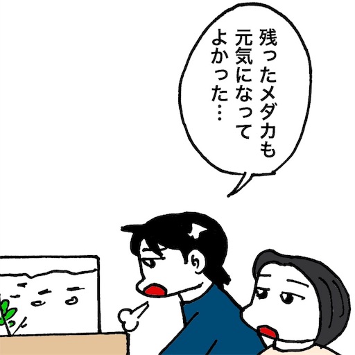 f:id:mraka2015:20181005134832j:image