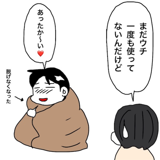 No 1552 Nウォームは暖かい は嘘じゃなかったニトリのnウォームスローケット 新 ぜんそく力な日常