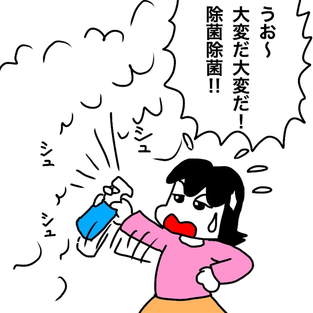 f:id:mraka2015:20190304110943j:image