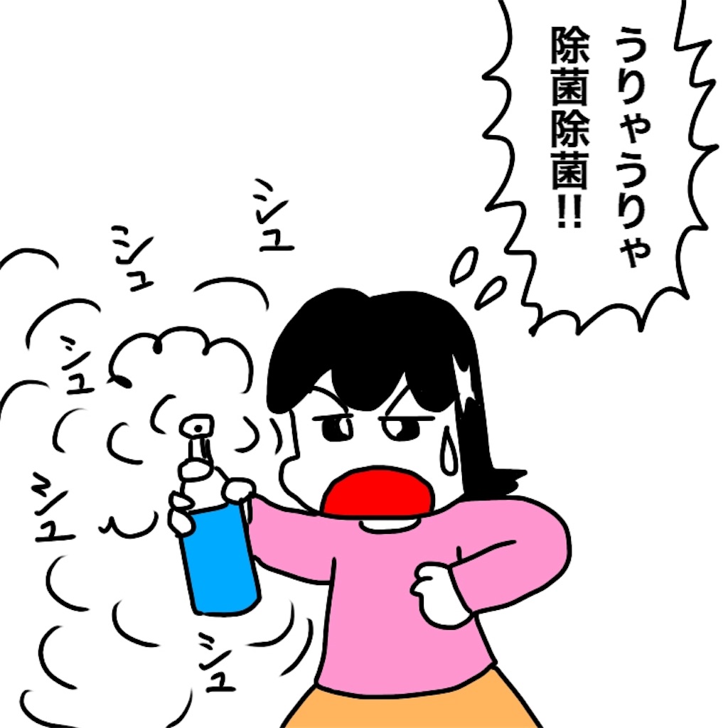 f:id:mraka2015:20190304111201j:image