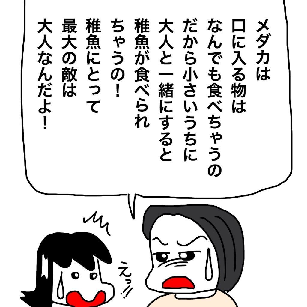 f:id:mraka2015:20190626102549j:image