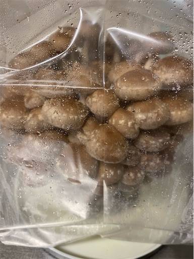 f:id:mraka2015:20201102084440j:plain