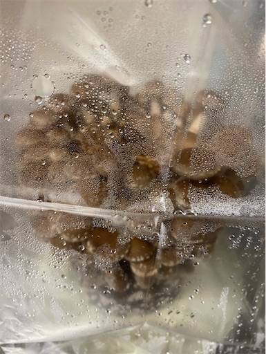 f:id:mraka2015:20201102084443j:plain