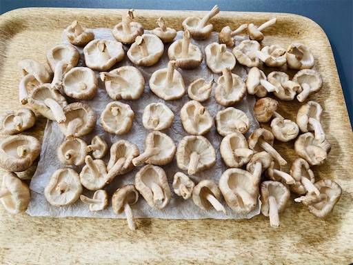 f:id:mraka2015:20201102084818j:plain