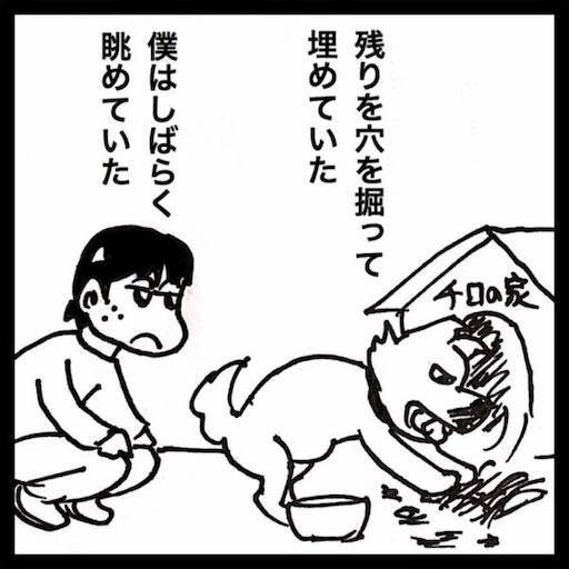 f:id:mraka2015:20201207094314j:plain