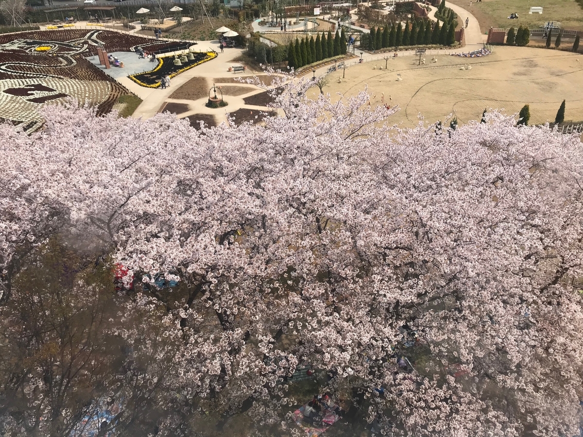 f:id:mrann324:20190413155704j:plain