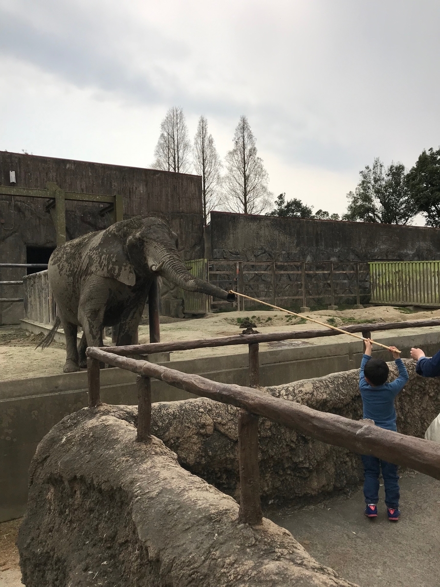 f:id:mrann324:20190413155916j:plain