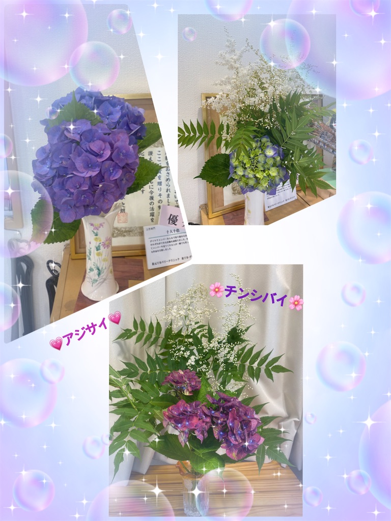 f:id:mrc2018:20250617120333j:image f:id:mrc2018:20250617120333j:image