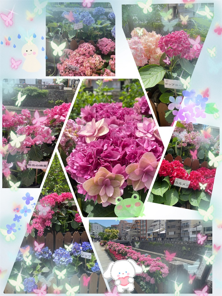 f:id:mrc2018:20250625123953j:image f:id:mrc2018:20250625123953j:image