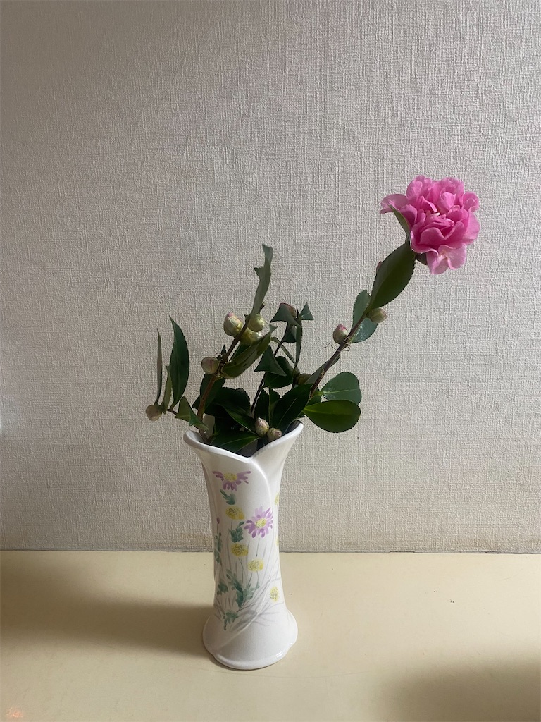 f:id:mrc2018:20260105113701j:image