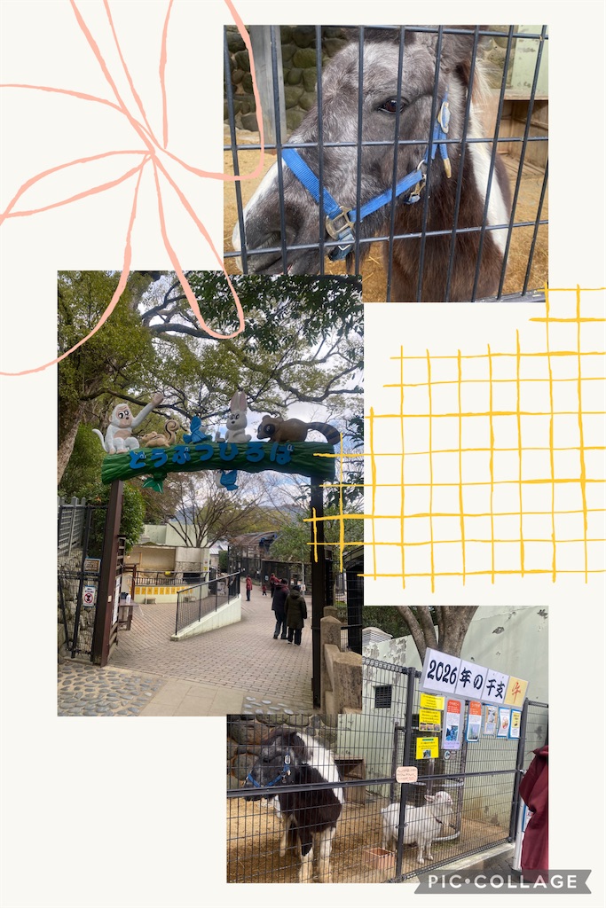 f:id:mrc2018:20260108122210j:image