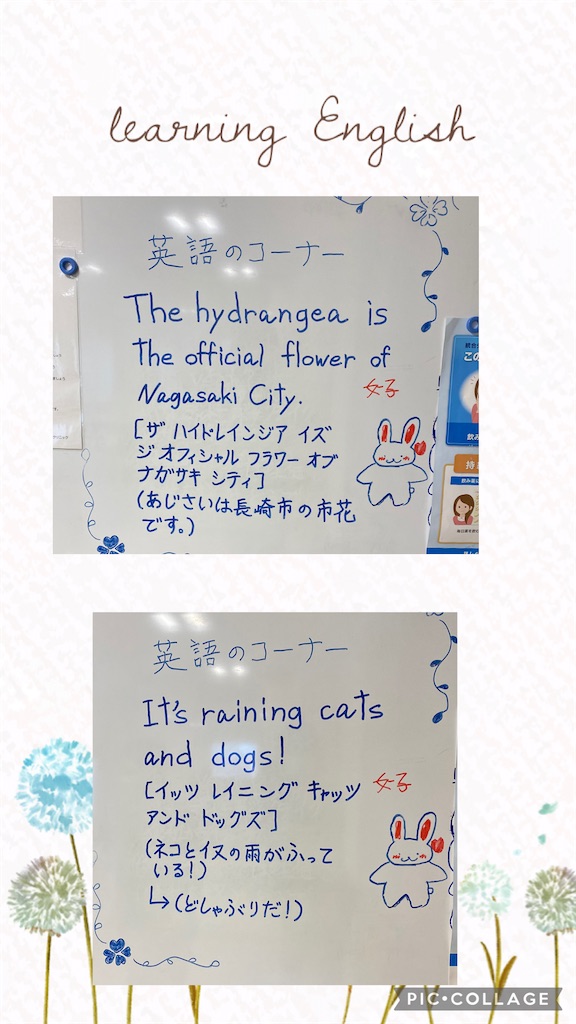 f:id:mrc2018:20260622151105j:image f:id:mrc2018:20260622151105j:image