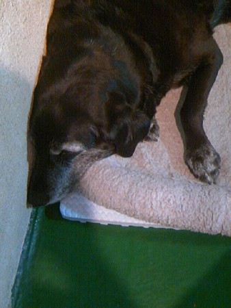 f:id:mrcrowley:20080406194747j:image f:id:mrcrowley:20080406194747j:image