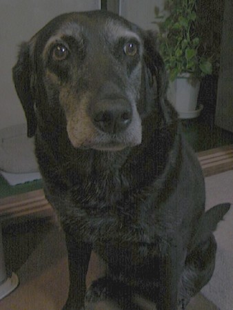f:id:mrcrowley:20080408212139j:image f:id:mrcrowley:20080408212139j:image