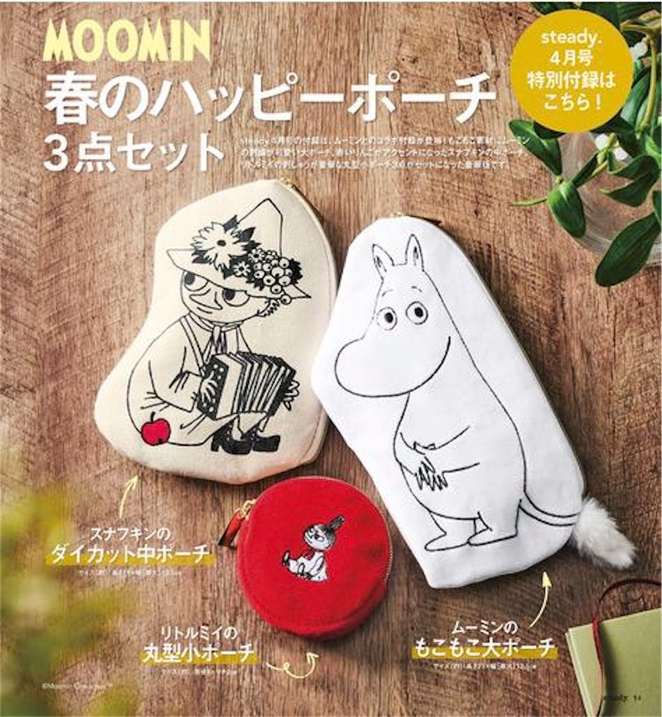 ステディ 付録 MOOMIN 春のハッピーポーチ3点セット