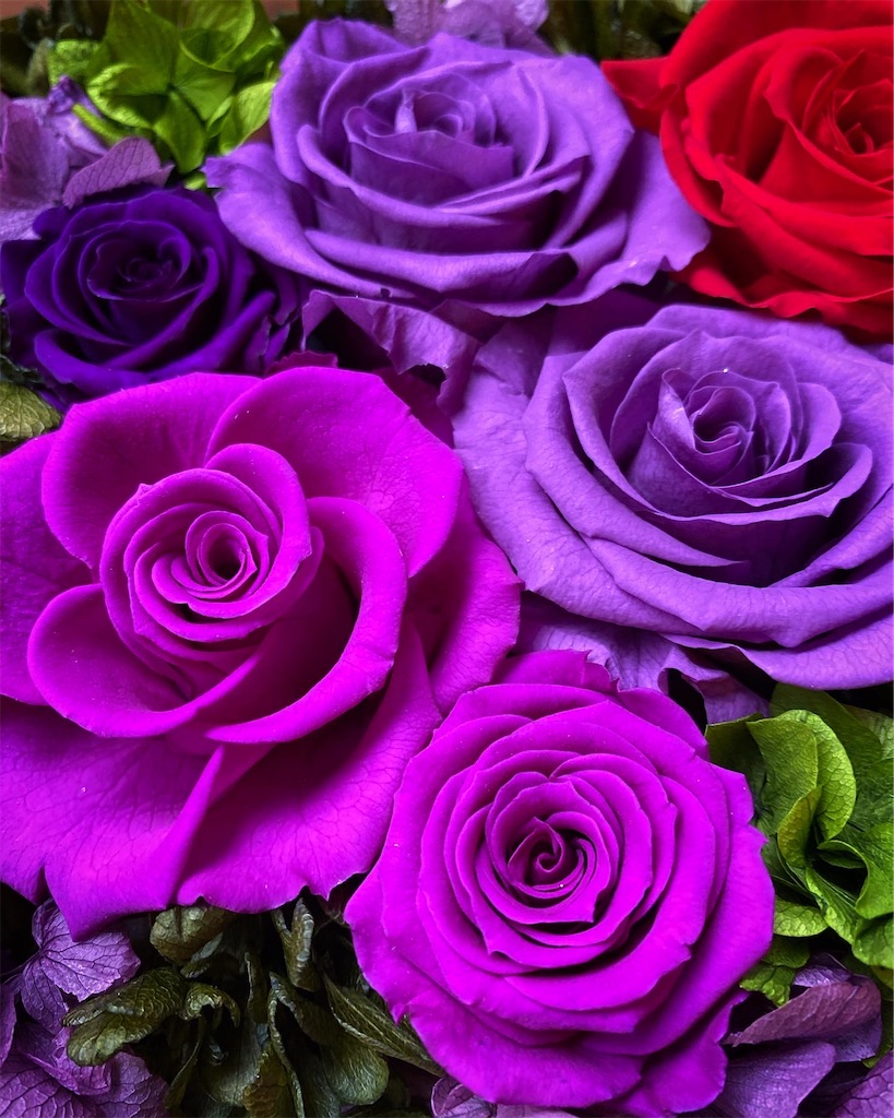 f:id:mrflower:20201210124044j:image f:id:mrflower:20201210124044j:image