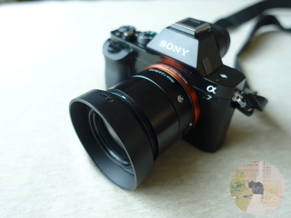 Aps C用 シグマ単焦点art 19mm F2 8 Dnをフルサイズ で使っての実写レビュー Hayarism