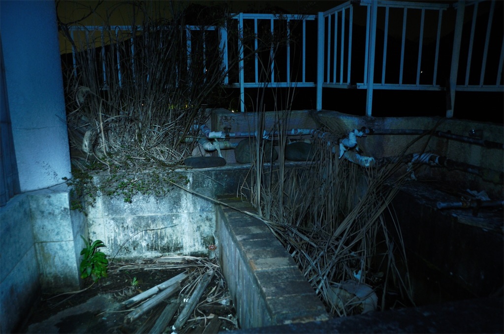 f:id:mrkmyng:20200318135529j:image