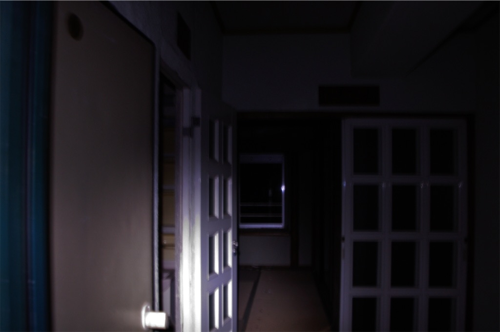 f:id:mrkmyng:20200318140458j:image