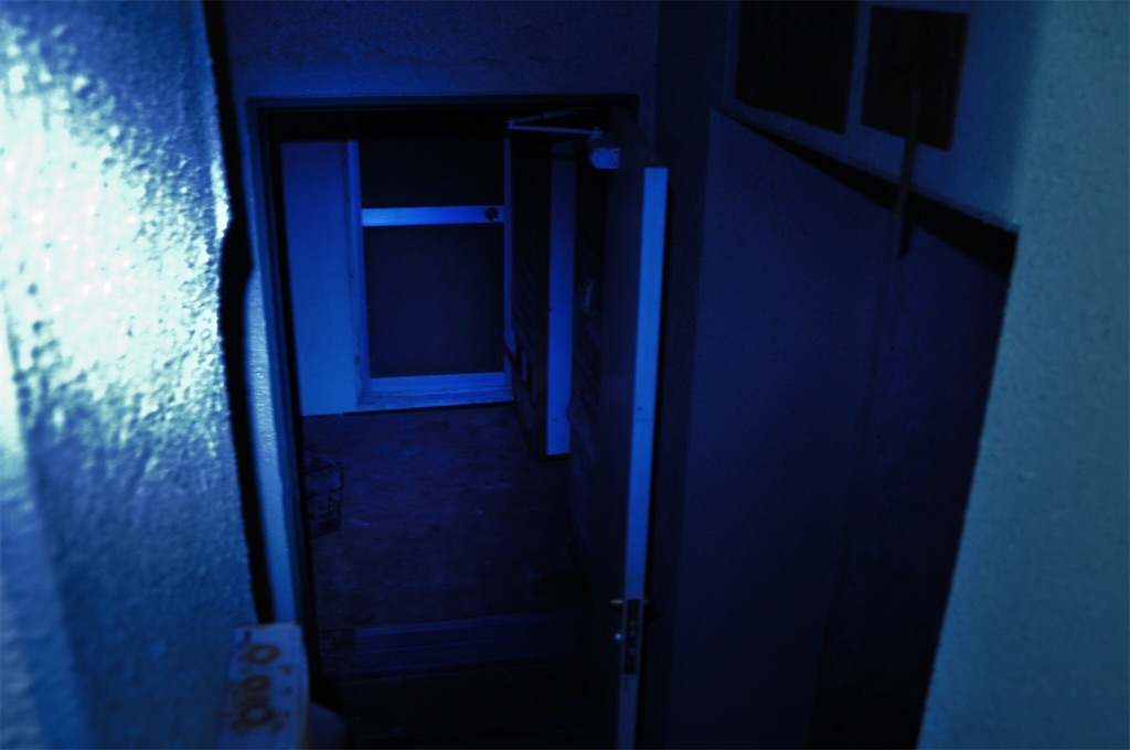 f:id:mrkmyng:20200318140507j:image