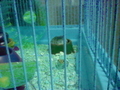 20120718064151