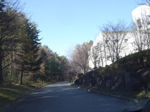 f:id:mrmt:20041123123931j:plain