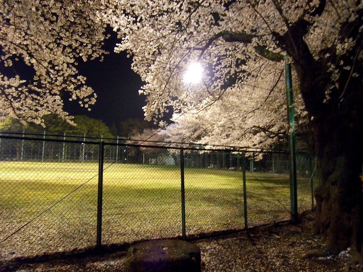 f:id:mrmt:20080403203459j:plain