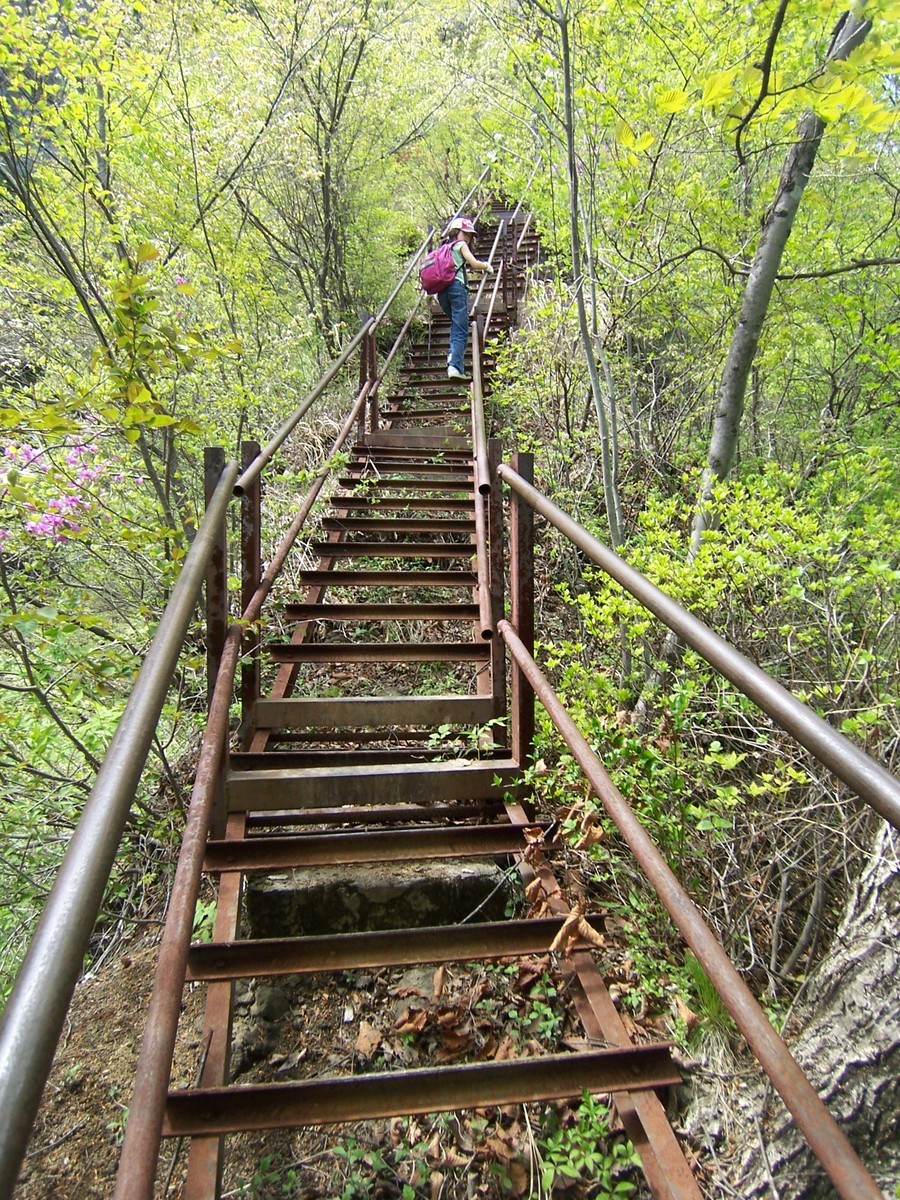 f:id:mrmt:20080504130156j:plain