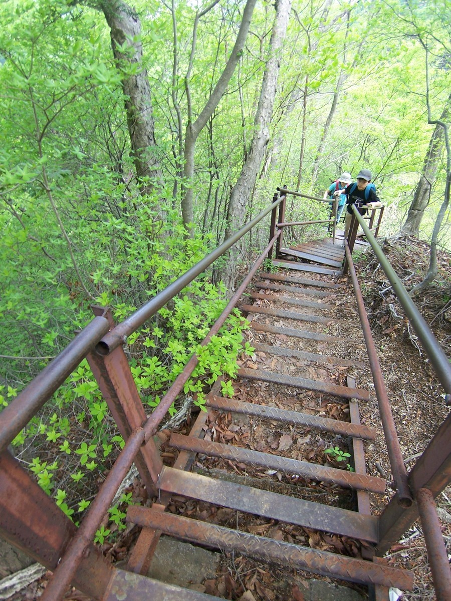 f:id:mrmt:20080504130203j:plain